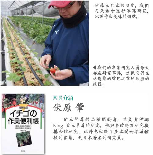 伊都きんぐ農園